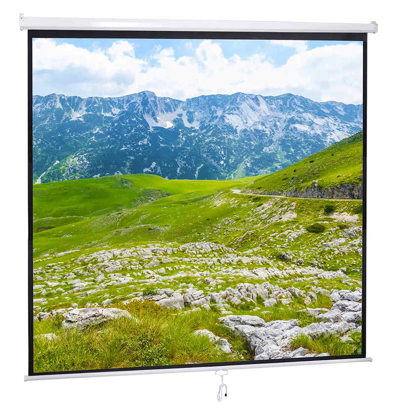 Load image into Gallery viewer, 3Victor Wall Mounted Manual Projection Screen (1:1)