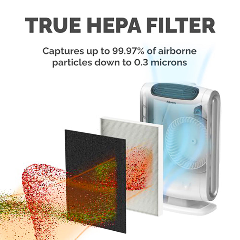 將圖像加載到圖庫查看器中,AeraMax DX55 9287101 True HEPA Filter 活性碳濾網 (1片裝)