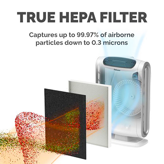 AeraMax DX55 9287101 True HEPA Filter 活性碳濾網 (1片裝)