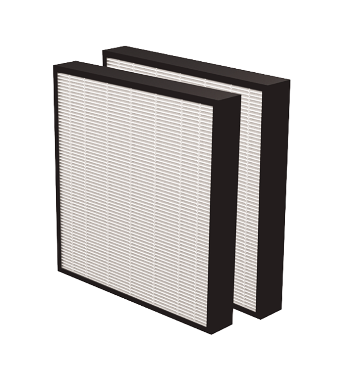 Load image into Gallery viewer, AeraMax Pro AM3 AM4 HEPA Filter with Antimicrobial Treatment (2Pcs)