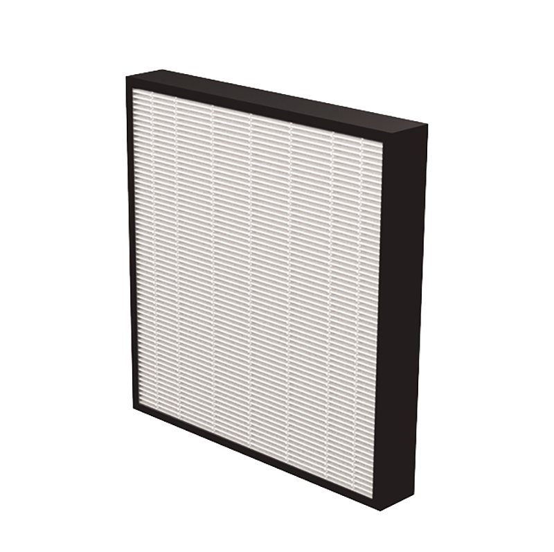 Load image into Gallery viewer, AeraMax Pro AM3 AM4 HEPA Filter with Antimicrobial Treatment (2Pcs)