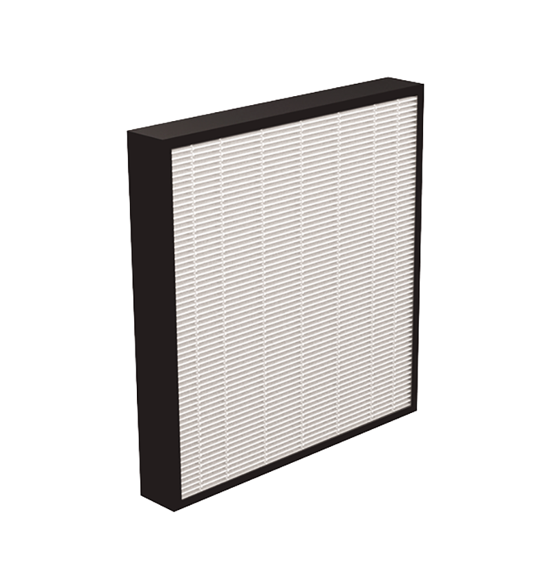 Load image into Gallery viewer, AeraMax Pro AM3 AM4 HEPA Filter with Antimicrobial Treatment (2Pcs)