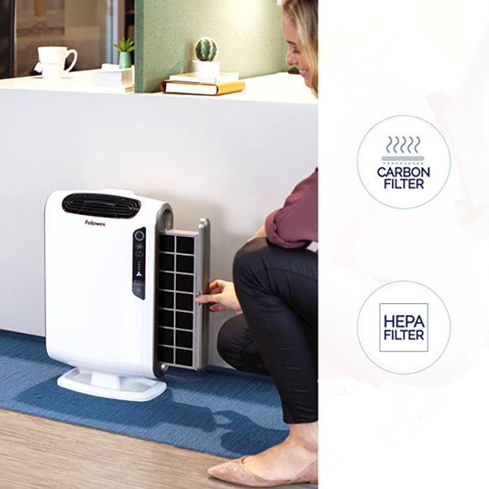 Load image into Gallery viewer, AeraMax DX55 (about 195 square feet) Air Purifier