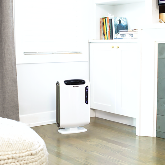 AeraMax DX55 (about 195 square feet) Air Purifier