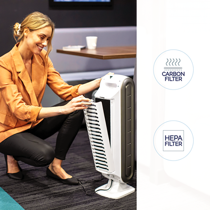 Load image into Gallery viewer, AeraMax DX5 (about 105 square feet) Air Purifier