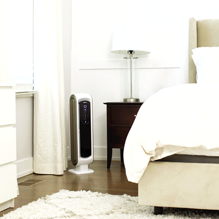 Load image into Gallery viewer, AeraMax DX5 (about 105 square feet) Air Purifier