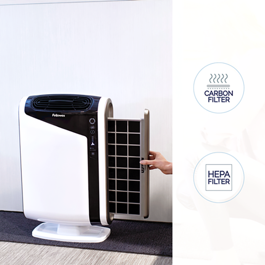 AeraMax DX95 (about 295 square feet) Air Purifier