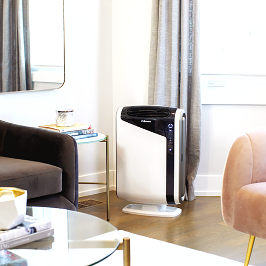 AeraMax DX95 (about 295 square feet) Air Purifier