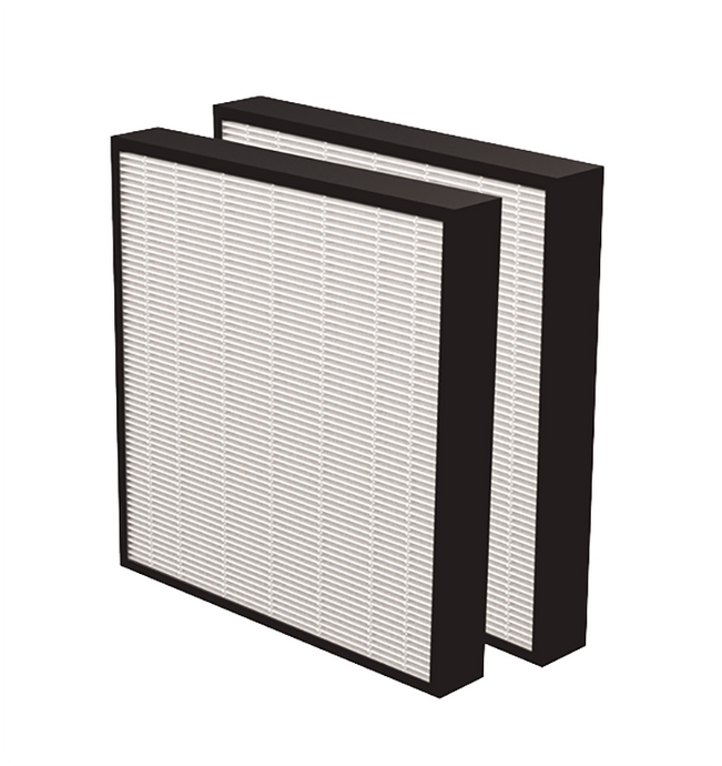 AeraMax Pro AM3 AM4 HEPA Filter with Antimicrobial Treatment (2Pcs)