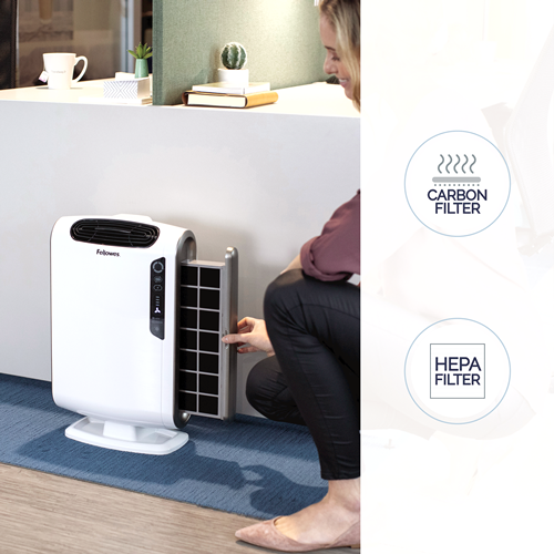 Load image into Gallery viewer, AeraMax DX55 (up to 18 m2) Air Purifier
